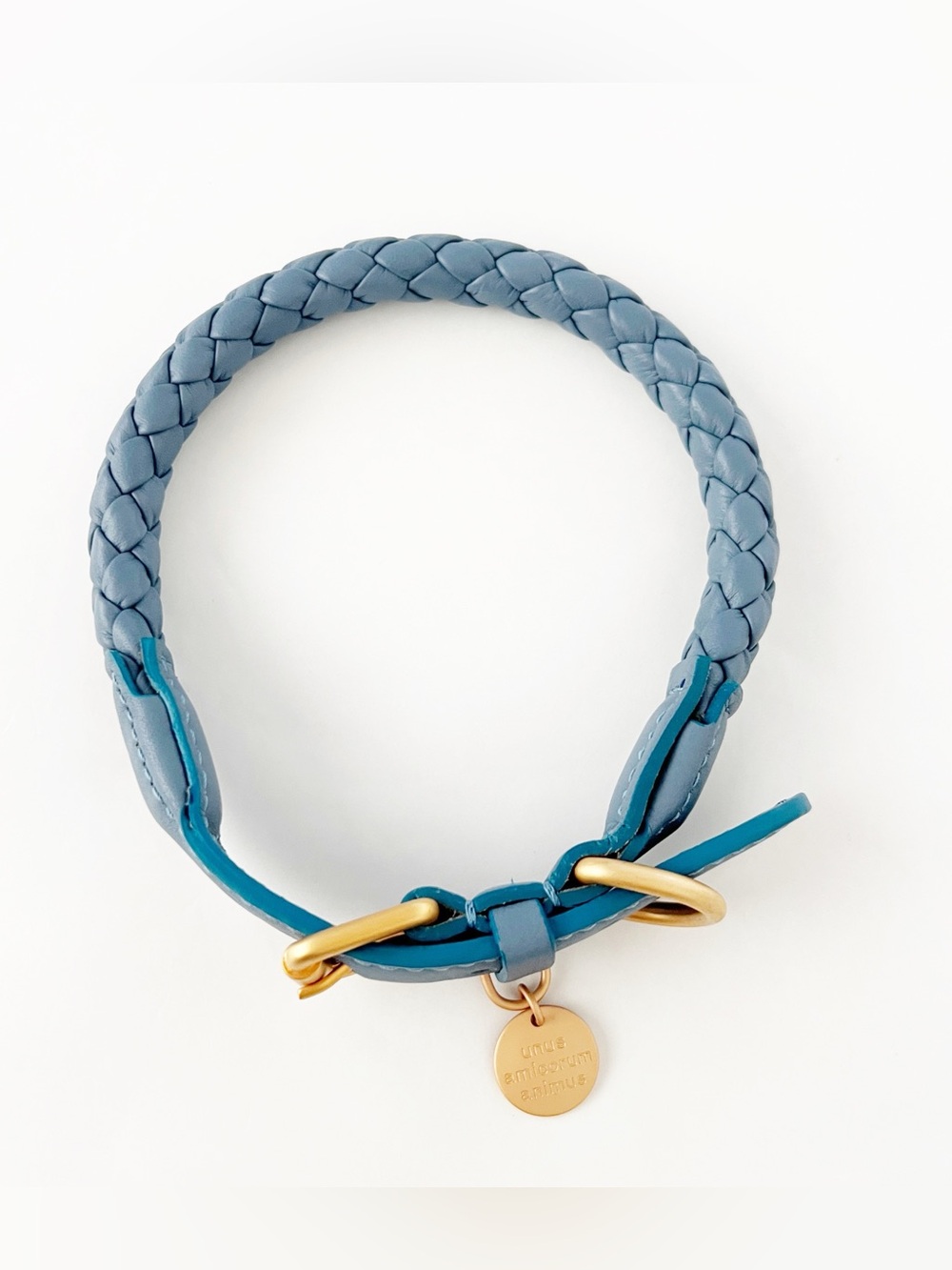 Ferdinando Braided Leather Dog Collar by 2.8 Design for Dogs in Dusty Blue L